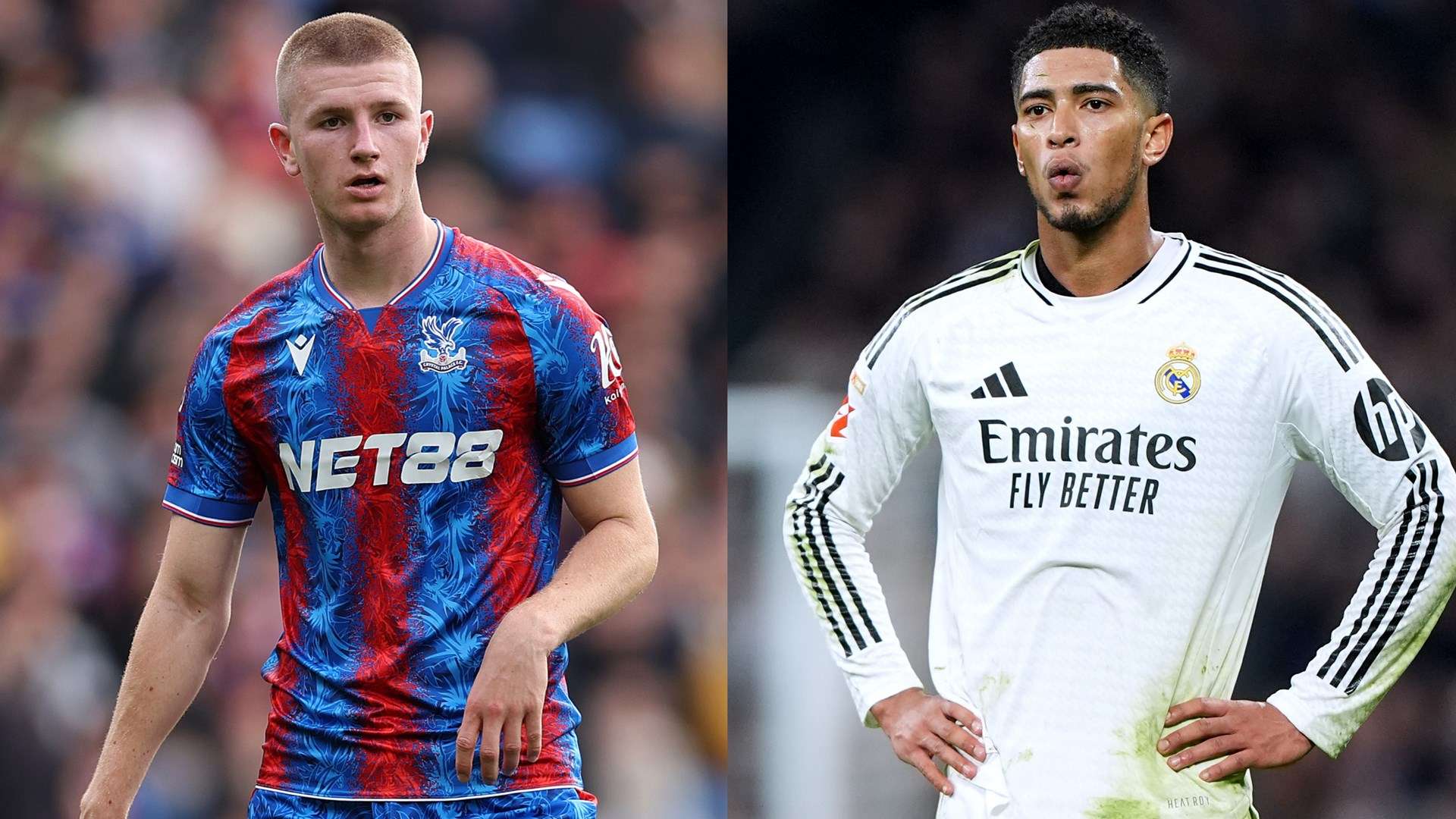 財政和青訓 財政和青訓