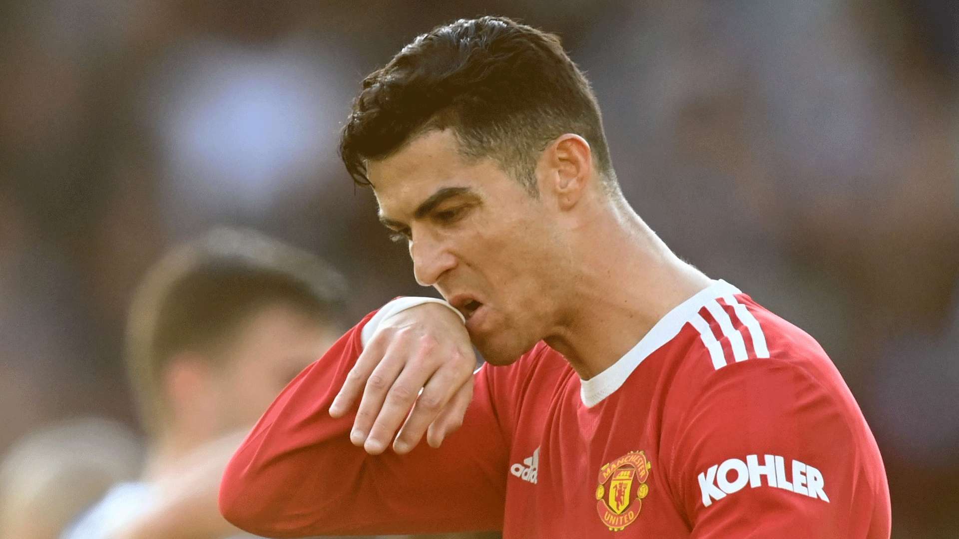 迷的热情 迷的热情